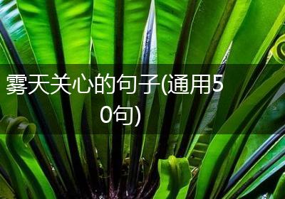 雾天关心的句子(通用50句)