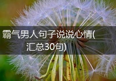 霸气男人句子说说心情(汇总30句)