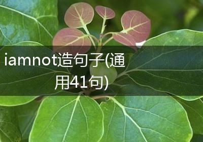 iamnot造句子(通用41句)