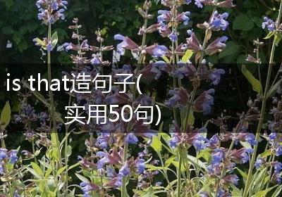 is that造句子(实用50句)