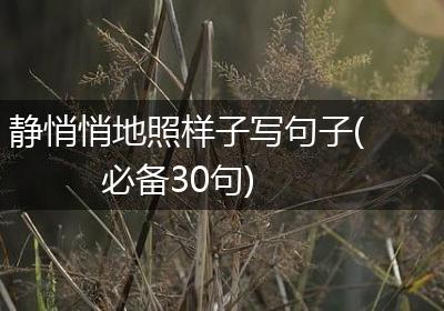 静悄悄地照样子写句子(必备30句)
