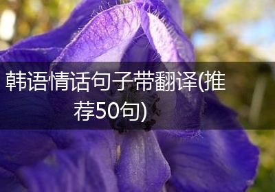 韩语情话句子带翻译(推荐50句)