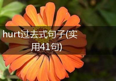 hurt过去式句子(实用41句)