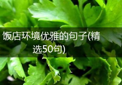 饭店环境优雅的句子(精选50句)