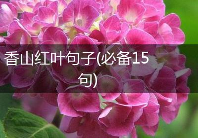 香山红叶句子(必备15句)