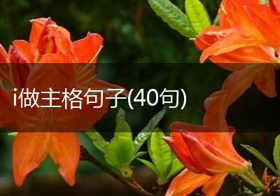 i做主格句子(40句)