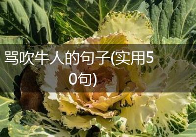 骂吹牛人的句子(实用50句)