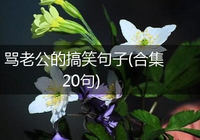 骂老公的搞笑句子(合集20句)
