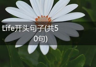 Life开头句子(共50句)