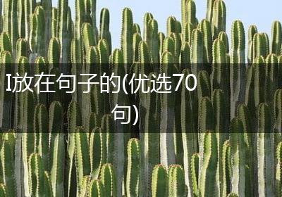 I放在句子的(优选70句)