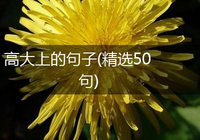 高大上的句子(精选50句)
