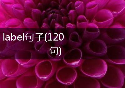 label句子(120句)