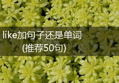 like加句子还是单词(推荐50句)