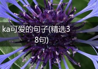 ka可爱的句子(精选38句)