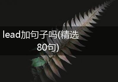 lead加句子吗(精选80句)
