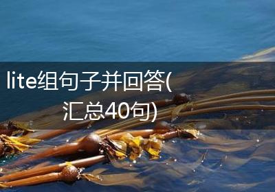 lite组句子并回答(汇总40句)