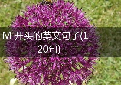 M 开头的英文句子(120句)