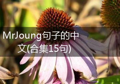 MrJoung句子的中文(合集15句)