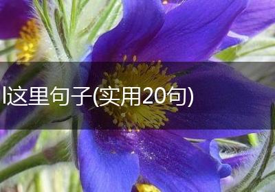 l这里句子(实用20句)
