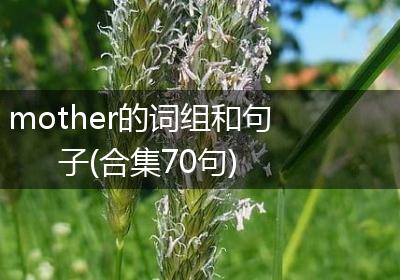 mother的词组和句子(合集70句)