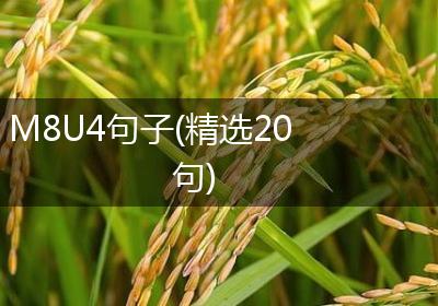 M8U4句子(精选20句)