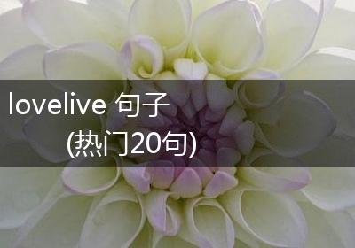 lovelive 句子(热门20句)