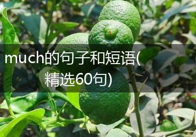 much的句子和短语(精选60句)