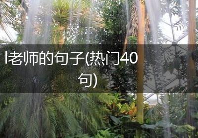 l老师的句子(热门40句)