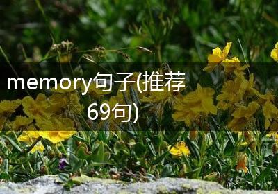 memory句子(推荐69句)