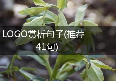 LOGO赏析句子(推荐41句)