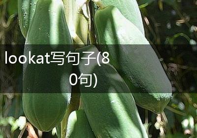 lookat写句子(80句)