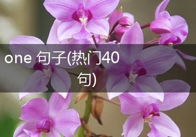 one 句子(热门40句)