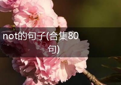 not的句子(合集80句)