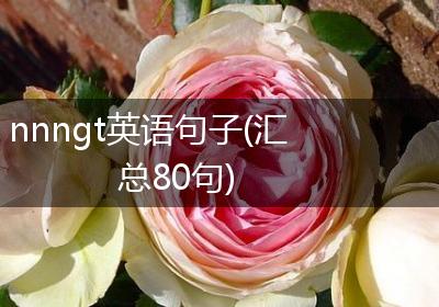 nnngt英语句子(汇总80句)