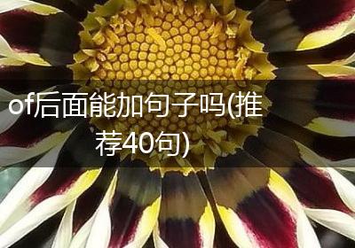 of后面能加句子吗(推荐40句)
