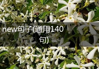 new句子(通用140句)