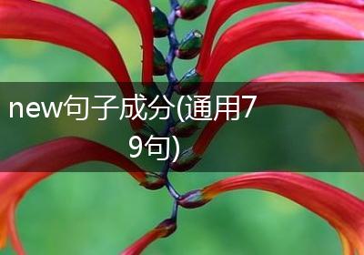 new句子成分(通用79句)