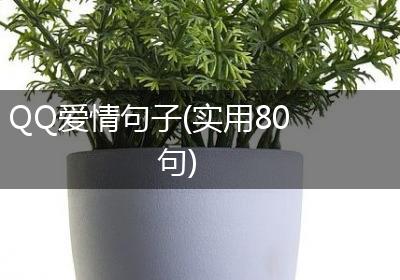 QQ爱情句子(实用80句)