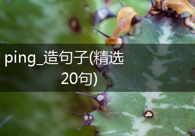 ping_造句子(精选20句)