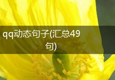 qq动态句子(汇总49句)
