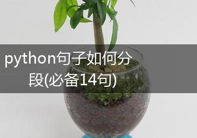 python句子如何分段(必备14句)