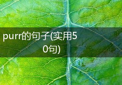 purr的句子(实用50句)