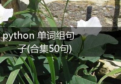 python 单词组句子(合集50句)