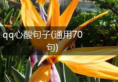 qq心酸句子(通用70句)