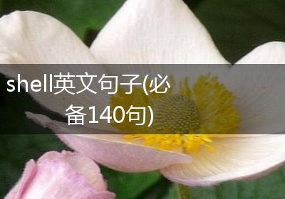 shell英文句子(必备140句)