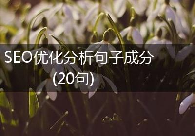 SEO优化分析句子成分(20句)