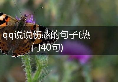 qq说说伤感的句子(热门40句)