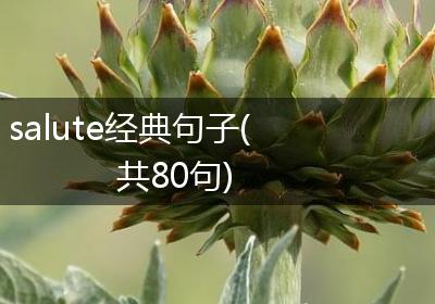 salute经典句子(共80句)