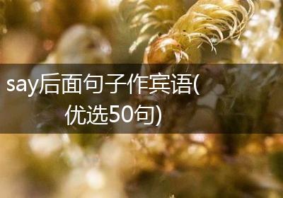 say后面句子作宾语(优选50句)