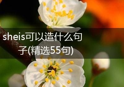 sheis可以造什么句子(精选55句)